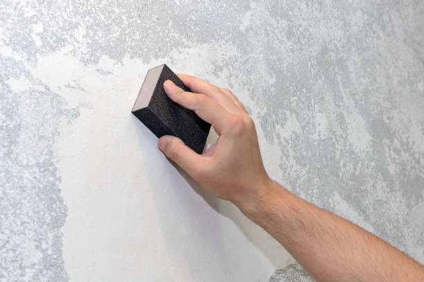 Best Mold Prevention Services  in Jackson, SC