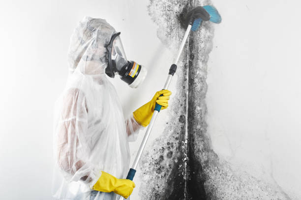 Best Biohazard Mold Removal  in Jackson, SC