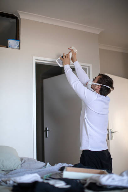 Best Mold Odor Removal Services  in Jackson, SC