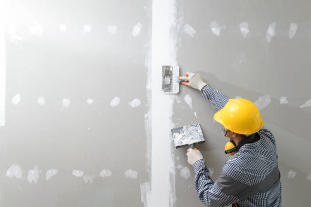 Best Water Damage & Mold Remediation  in Jackson, SC