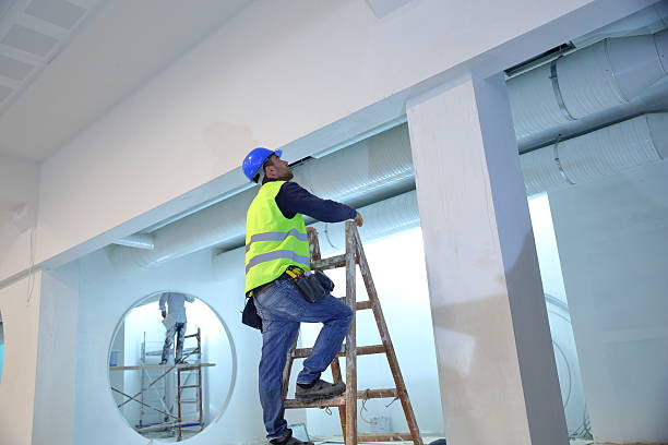 Best Industrial Mold Remediation  in Jackson, SC